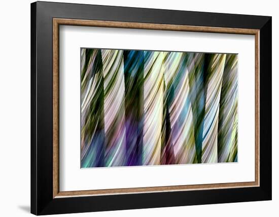 A Walk in the Woods-Ursula Abresch-Framed Photographic Print