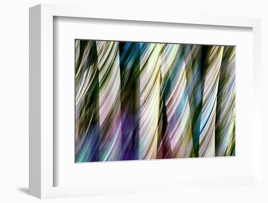 A Walk in the Woods-Ursula Abresch-Framed Photographic Print