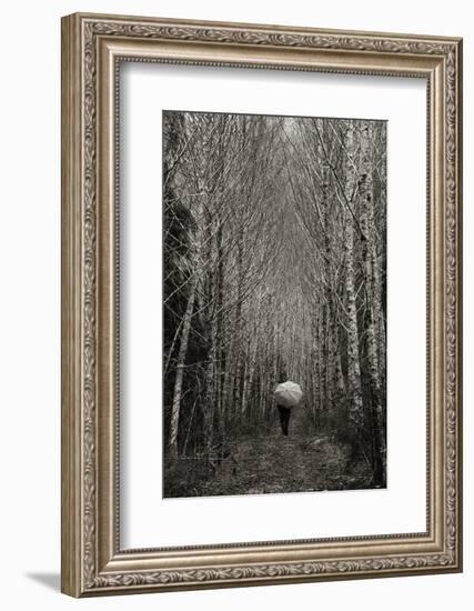 A Walk in the Woods-Art Wolfe-Framed Photographic Print