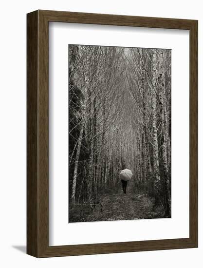 A Walk in the Woods-Art Wolfe-Framed Photographic Print