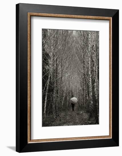 A Walk in the Woods-Art Wolfe-Framed Photographic Print