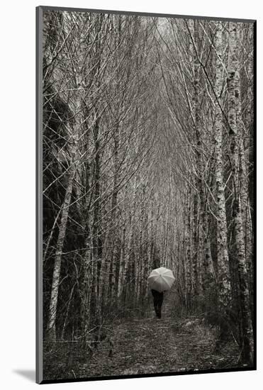 A Walk in the Woods-Art Wolfe-Mounted Photographic Print