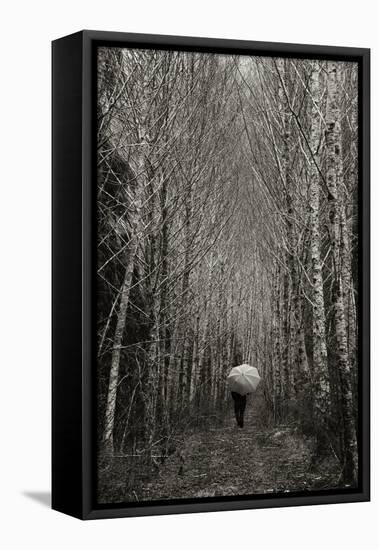 A Walk in the Woods-Art Wolfe-Framed Premier Image Canvas