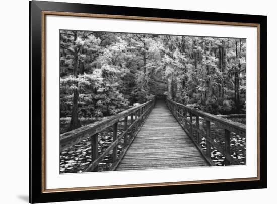 A Walk Into Tranquility-Mike Jones-Framed Art Print