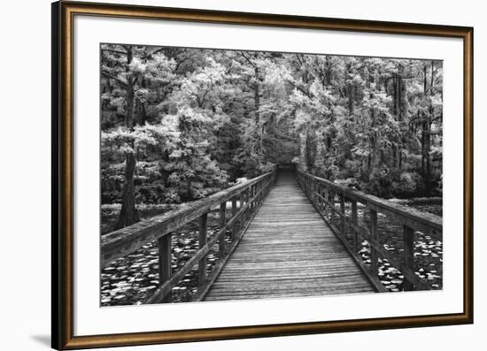 A Walk Into Tranquility-Mike Jones-Framed Art Print