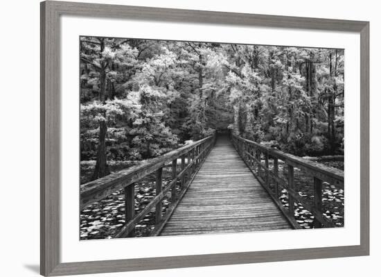 A Walk Into Tranquility-Mike Jones-Framed Art Print