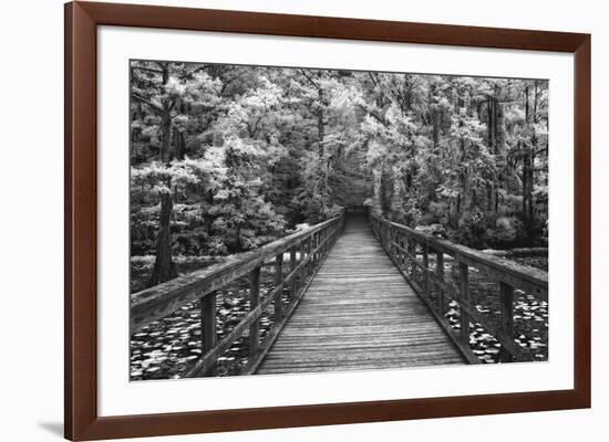 A Walk Into Tranquility-Mike Jones-Framed Art Print