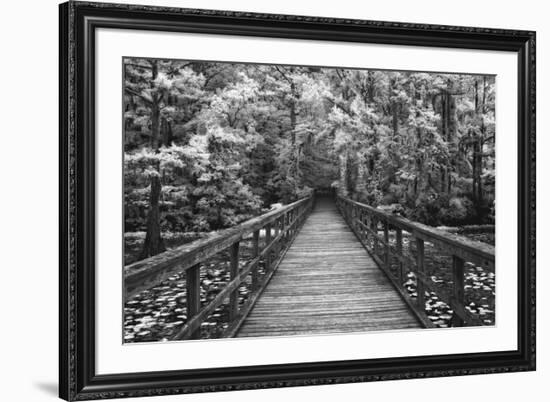 A Walk Into Tranquility-Mike Jones-Framed Art Print