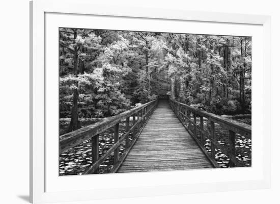 A Walk Into Tranquility-Mike Jones-Framed Art Print