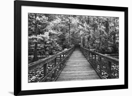 A Walk Into Tranquility-Mike Jones-Framed Art Print