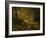 A Walk Through the Forest-Iwan Iwanowitsch Schischkin-Framed Giclee Print