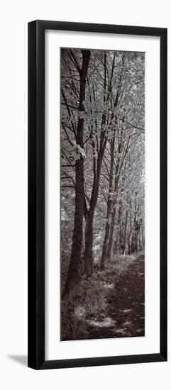 A Walk To Remember I-Ily Szilagyi-Framed Giclee Print