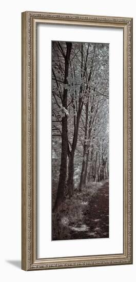 A Walk To Remember I-Ily Szilagyi-Framed Giclee Print