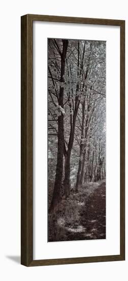 A Walk To Remember I-Ily Szilagyi-Framed Giclee Print