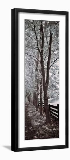 A Walk To Remember II-Ily Szilagyi-Framed Giclee Print