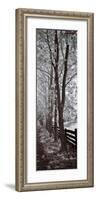 A Walk To Remember II-Ily Szilagyi-Framed Giclee Print