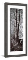 A Walk To Remember II-Ily Szilagyi-Framed Giclee Print
