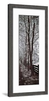 A Walk To Remember II-Ily Szilagyi-Framed Giclee Print