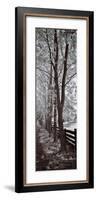 A Walk To Remember II-Ily Szilagyi-Framed Giclee Print