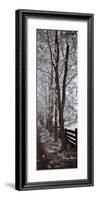 A Walk To Remember II-Ily Szilagyi-Framed Giclee Print