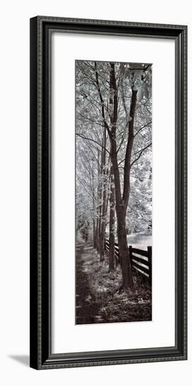 A Walk To Remember II-Ily Szilagyi-Framed Giclee Print