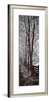 A Walk To Remember II-Ily Szilagyi-Framed Giclee Print
