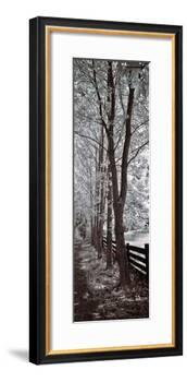 A Walk To Remember II-Ily Szilagyi-Framed Giclee Print
