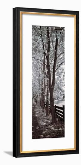 A Walk To Remember II-Ily Szilagyi-Framed Giclee Print