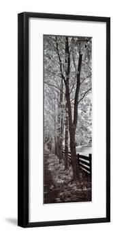 A Walk To Remember II-Ily Szilagyi-Framed Giclee Print