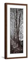 A Walk To Remember II-Ily Szilagyi-Framed Giclee Print