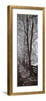A Walk To Remember II-Ily Szilagyi-Framed Giclee Print