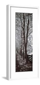 A Walk To Remember II-Ily Szilagyi-Framed Giclee Print