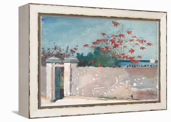 A Wall, Nassau, 1898 (W/C and Graphite on Paper)-Winslow Homer-Framed Premier Image Canvas