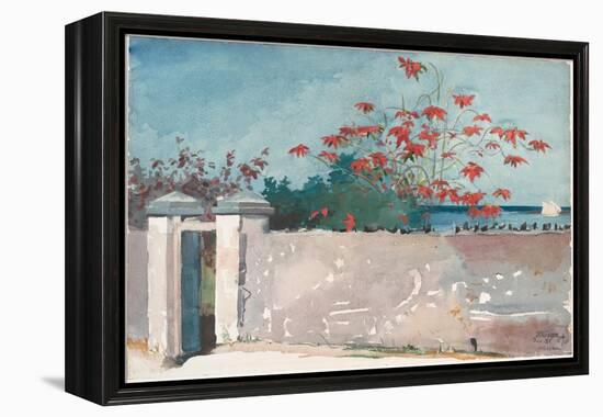 A Wall, Nassau, 1898 (W/C and Graphite on Paper)-Winslow Homer-Framed Premier Image Canvas