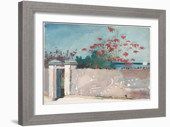 A Wall, Nassau, 1898 (W/C and Graphite on Paper)-Winslow Homer-Framed Giclee Print