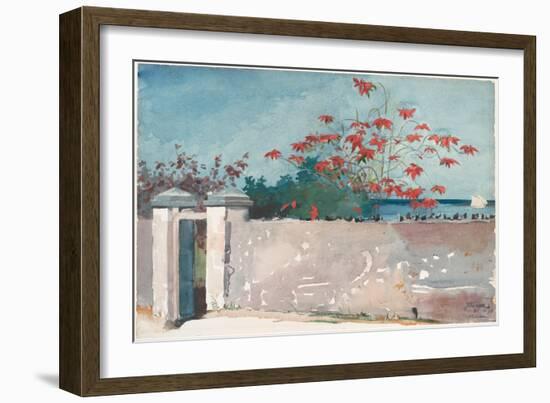 A Wall, Nassau, 1898 (W/C and Graphite on Paper)-Winslow Homer-Framed Giclee Print