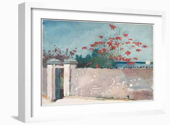 A Wall, Nassau, 1898 (W/C and Graphite on Paper)-Winslow Homer-Framed Giclee Print