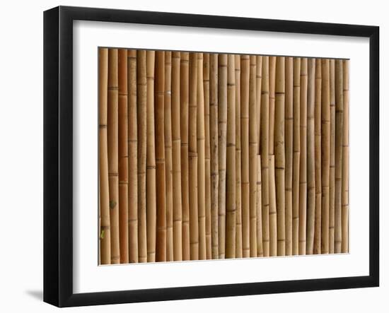 A Wall of Bamboo Stalks-null-Framed Photographic Print