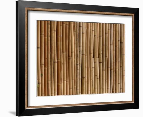 A Wall of Bamboo Stalks-null-Framed Photographic Print