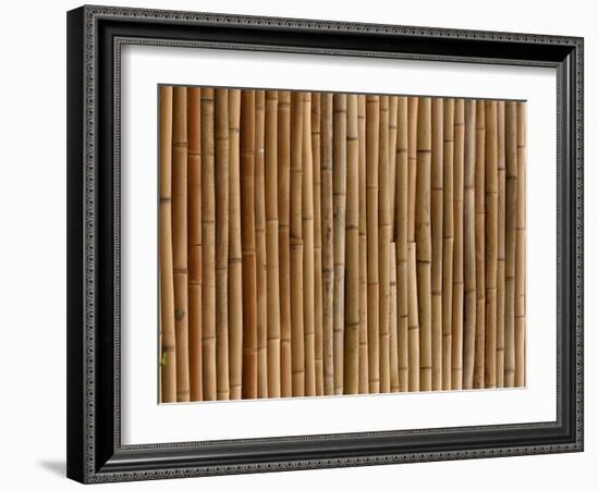 A Wall of Bamboo Stalks-null-Framed Photographic Print