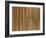 A Wall of Bamboo Stalks-null-Framed Photographic Print