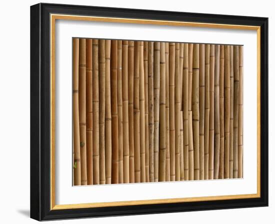 A Wall of Bamboo Stalks-null-Framed Photographic Print