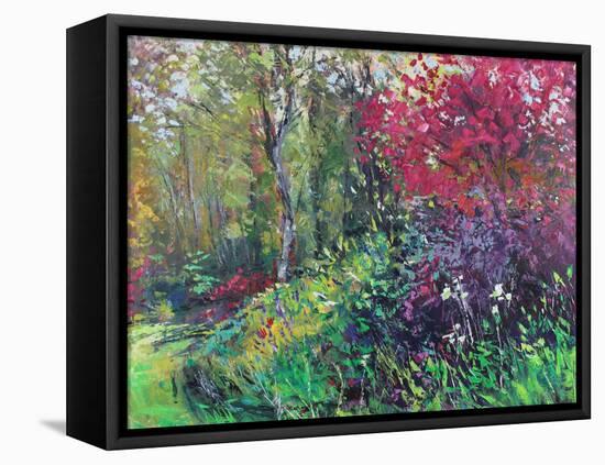 A Wander round the Garden-Sylvia Paul-Framed Premier Image Canvas