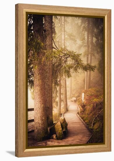 A Warm Welcome-Philippe Sainte-Laudy-Framed Premier Image Canvas