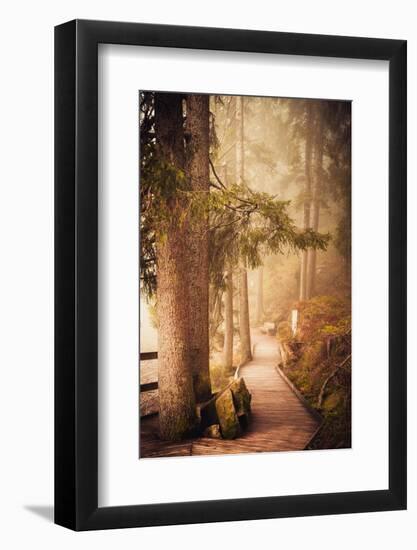 A Warm Welcome-Philippe Sainte-Laudy-Framed Photographic Print