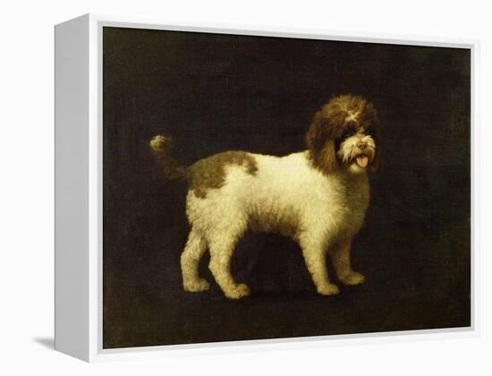 A Water Spaniel, 1769-George Stubbs-Framed Premier Image Canvas