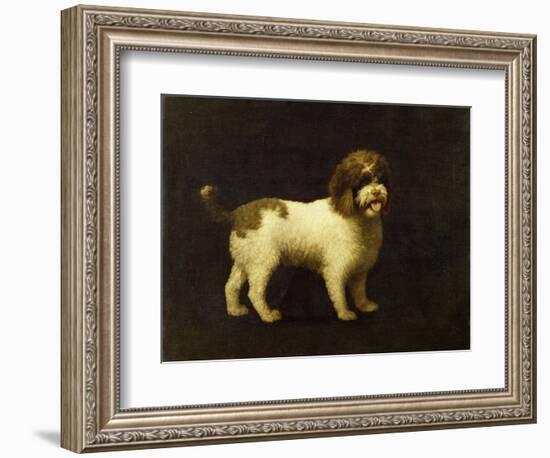 A Water Spaniel, 1769-George Stubbs-Framed Giclee Print