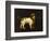 A Water Spaniel, 1769-George Stubbs-Framed Giclee Print