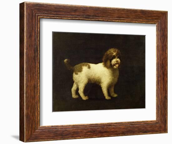 A Water Spaniel, 1769-George Stubbs-Framed Giclee Print