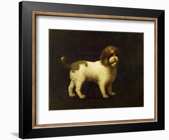 A Water Spaniel, 1769-George Stubbs-Framed Giclee Print